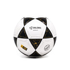 BOLA DE FUTEVÔLEI DALEBOL POWERSOFT™ 2025