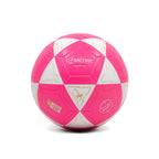 BOLA DE FUTEVÔLEI DALEBOL POWERSOFT™ 2025