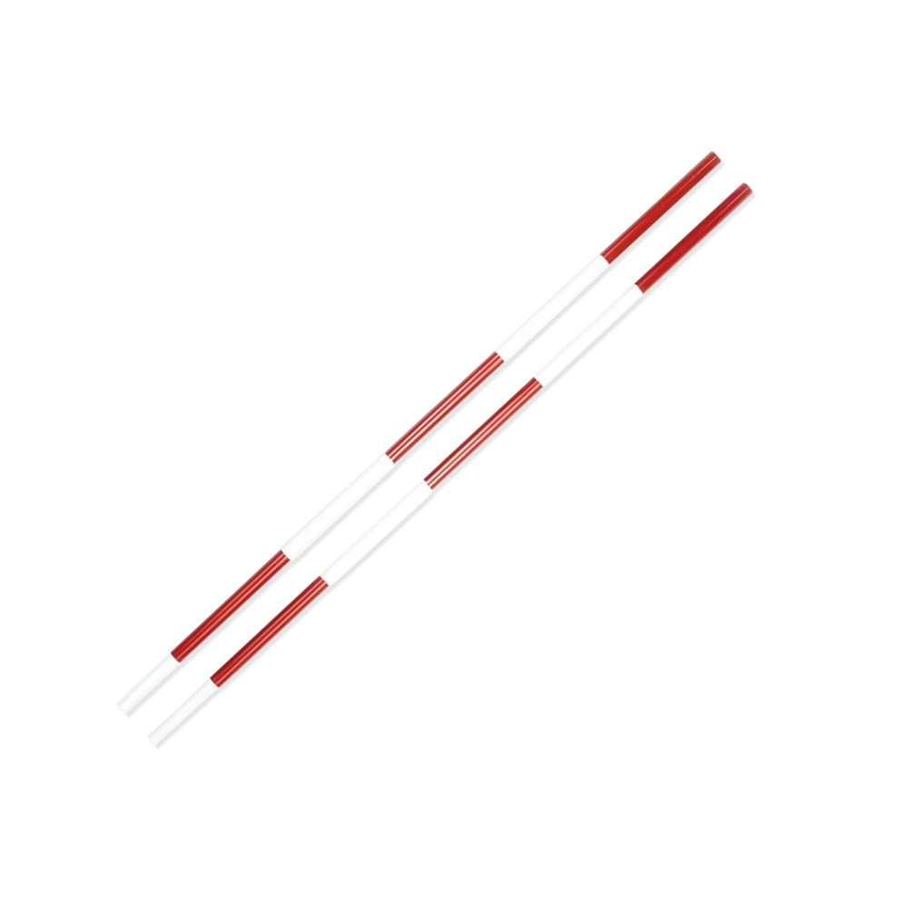 PAR DE ANTENAS DALEBOL