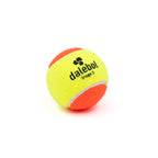 BOLA DE BEACH TENNIS DALEBOL STAGE 2