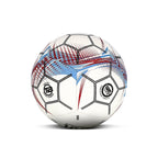 BOLA DE FUTEBOL DALEBOL TB PEGASUS