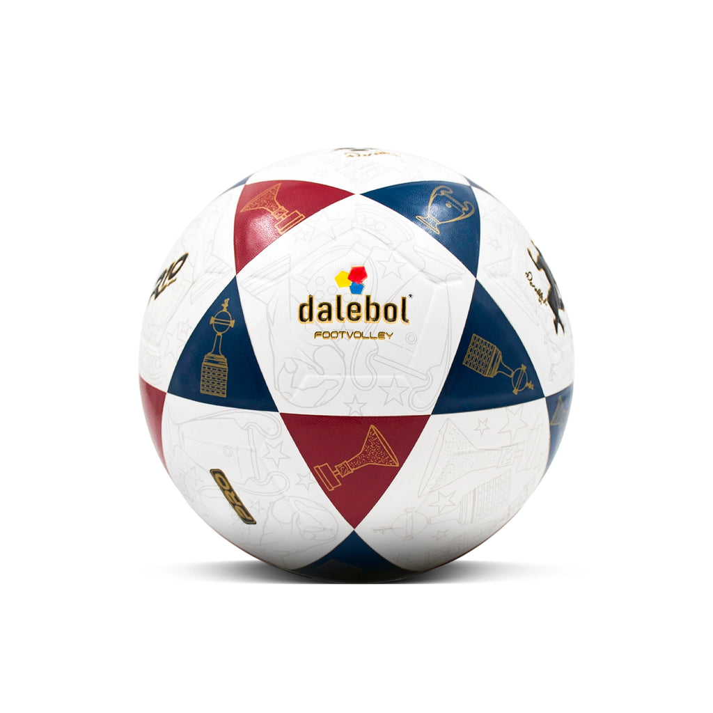 BOLA DE FUTEVÔLEI RONALDINHO DALEBOL