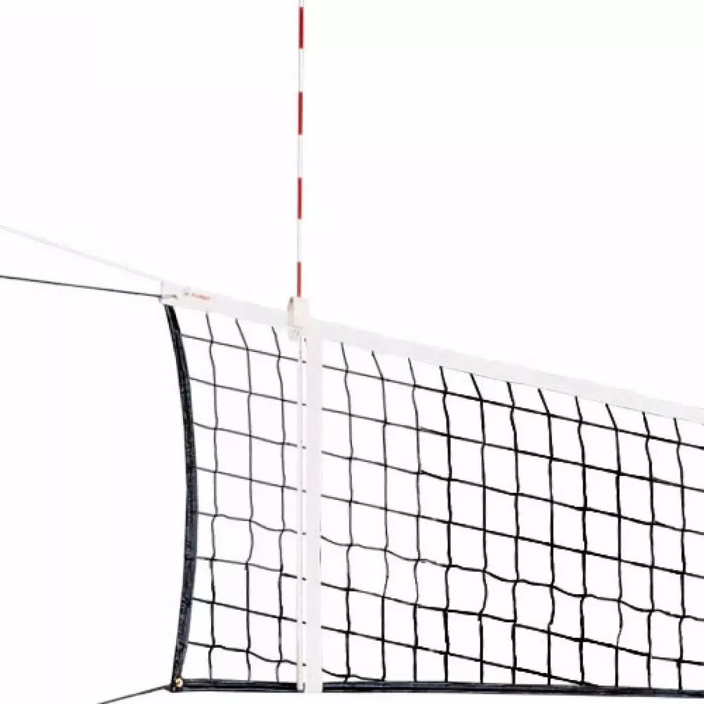 PAR DE ANTENAS DALEBOL